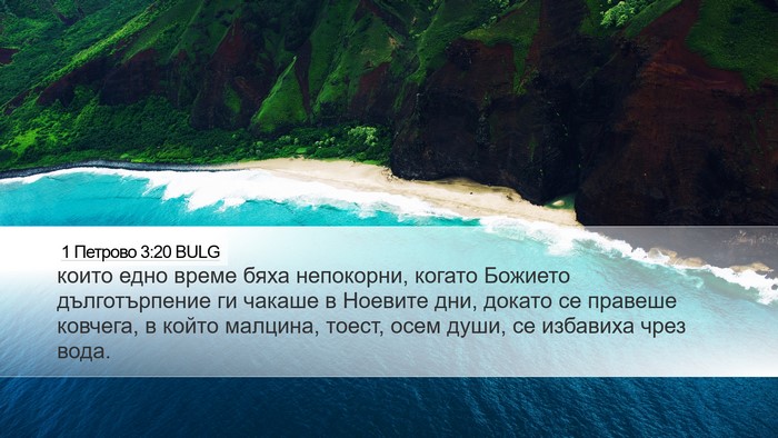 1 Петрово 3:20 BULG Bible Verse Image