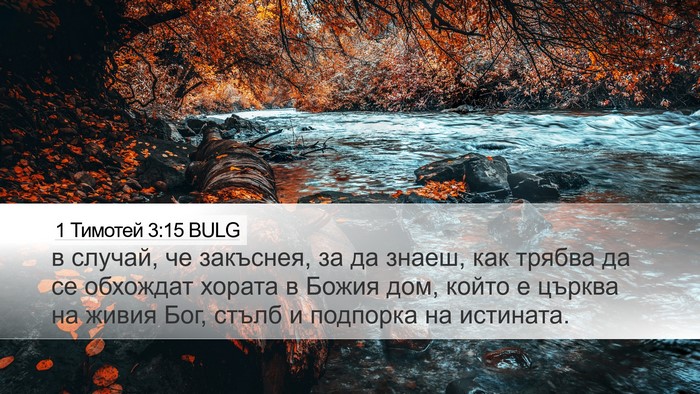 1 Тимотей 3:15 BULG Bible Verse Image
