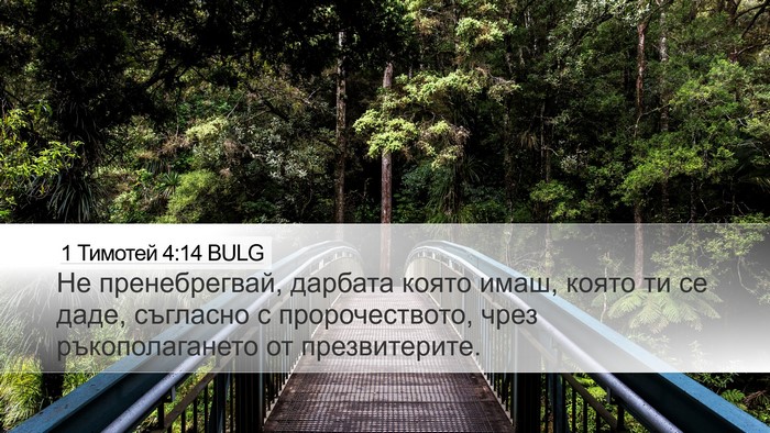 1 Тимотей 4:14 BULG Bible Verse Image