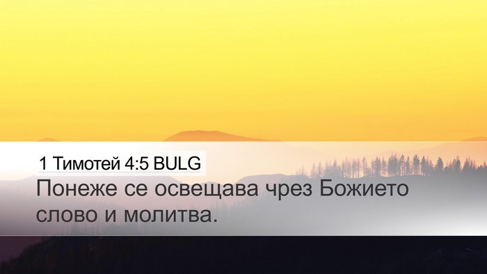 1 Тимотей 4:5 BULG Desktop Wallpaper - Понеже се освещава чрез - Desktop Bible Verse Wallpaper