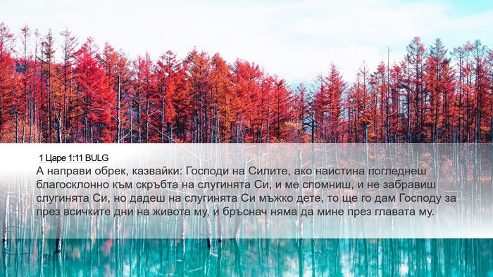 1 Царе 1:11 BULG Bible Verse Image