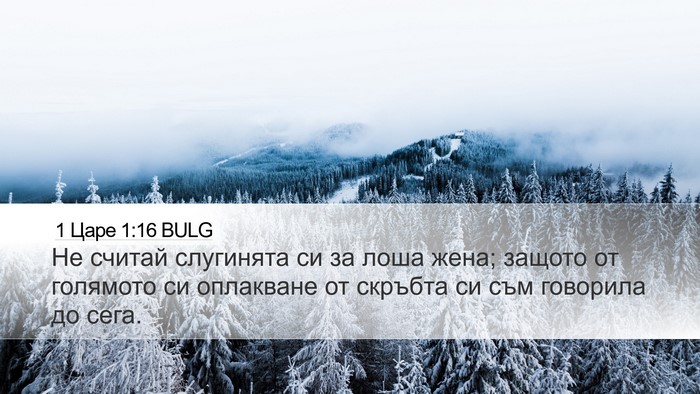 1 Царе 1:16 BULG Desktop Wallpaper - Не считай слугинята си за - Desktop Bible Verse Wallpaper