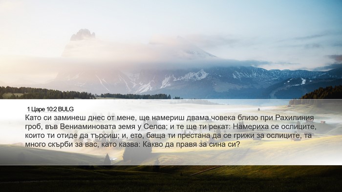 1 Царе 10:2 BULG Bible Verse Image