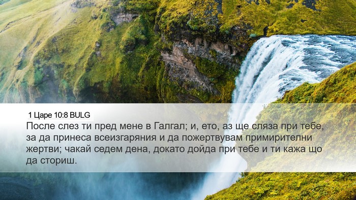 1 Царе 10:8 BULG Bible Verse Image