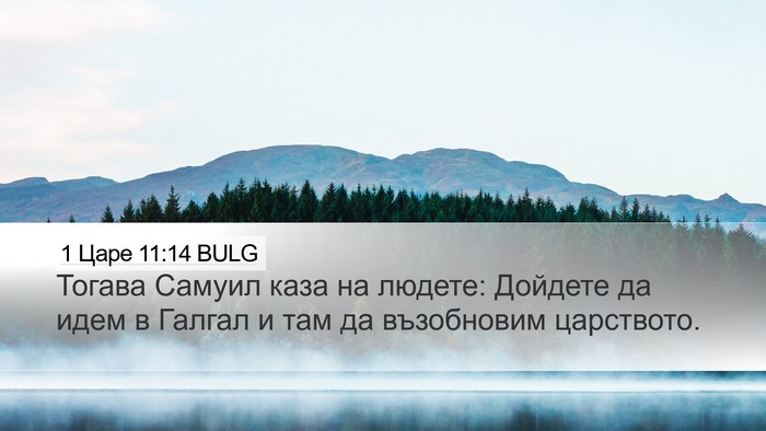 1 Царе 11:14 BULG Bible Verse Image