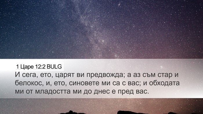 1 Царе 12:2 BULG Desktop Wallpaper - И сега, ето, царят ви - Desktop Bible Verse Wallpaper