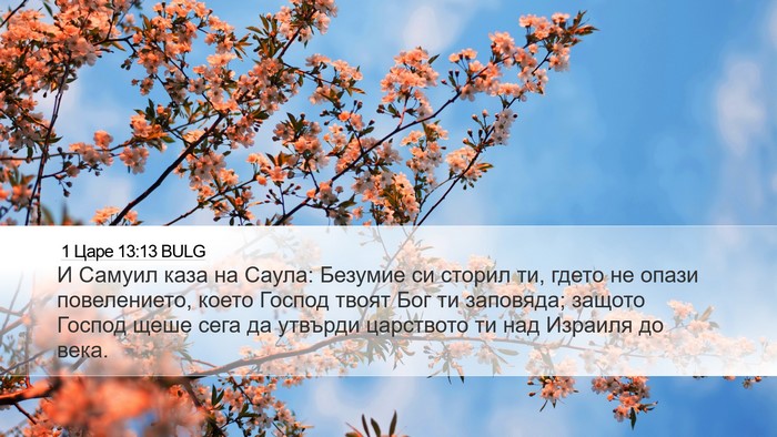 1 Царе 13:13 BULG Bible Verse Image
