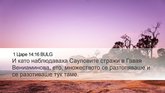 1 Царе 14:16 BULG Desktop Wallpaper - И като наблюдаваха - Desktop Bible Verse Wallpaper