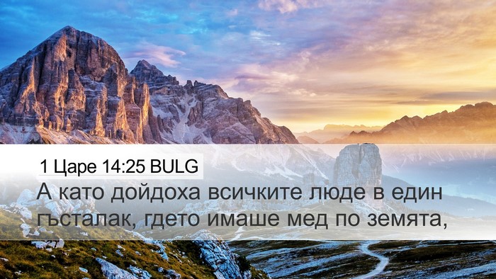 1 Царе 14:25 BULG Bible Verse Image