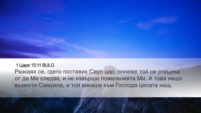 1 Царе 15:11 BULG Bible Verse Image