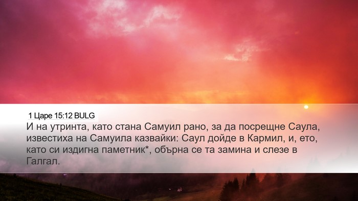 1 Царе 15:12 BULG Bible Verse Image