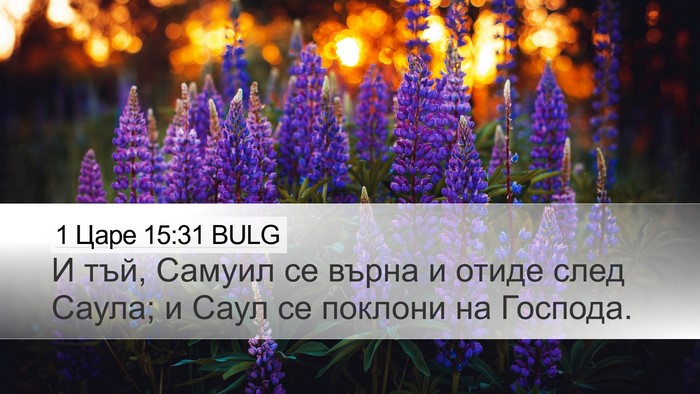1 Царе 15:31 BULG Bible Verse Image