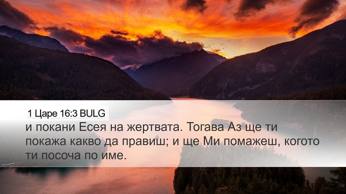 1 Царе 16:3 BULG Bible Verse Image