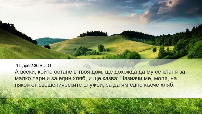 1 Царе 2:36 BULG Bible Verse Image