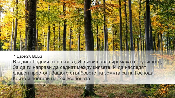 1 Царе 2:8 BULG Bible Verse Image