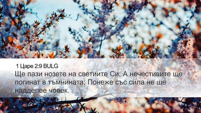1 Царе 2:9 BULG Bible Verse Image