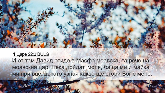 1 Царе 22:3 BULG Bible Verse Image