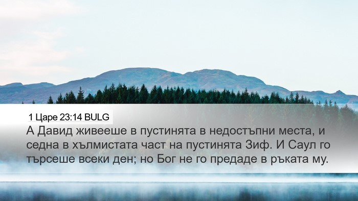 1 Царе 23:14 BULG Bible Verse Image