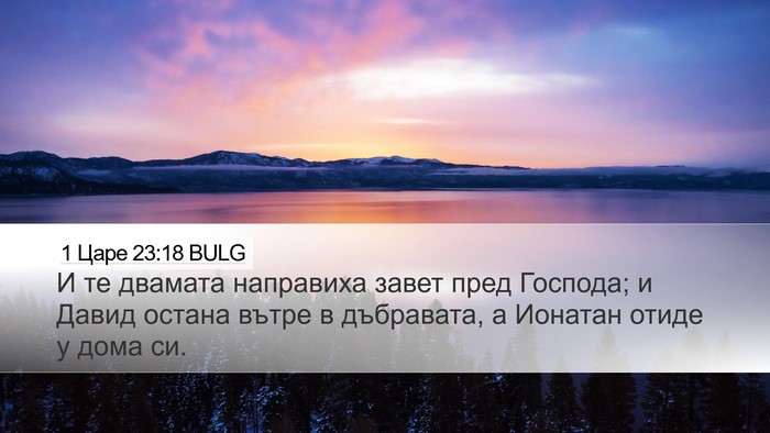 1 Царе 23:18 BULG Bible Verse Image