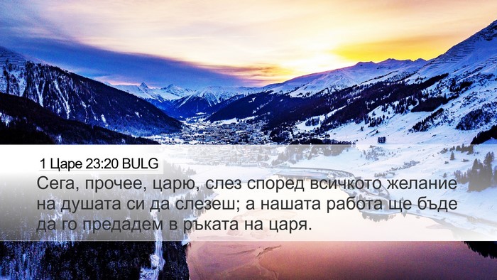 1 Царе 23:20 BULG Bible Verse Image