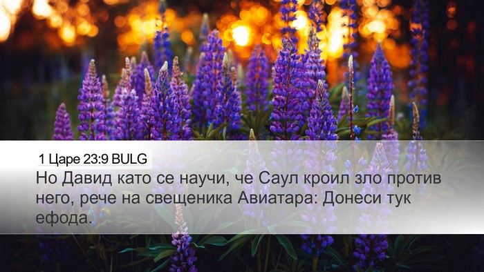 1 Царе 23:9 BULG Bible Verse Image