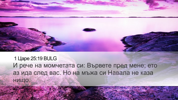 1 Царе 25:19 BULG Bible Verse Image