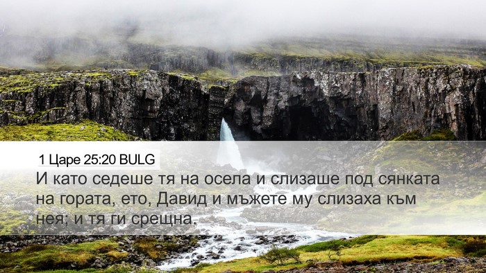 1 Царе 25:20 BULG Desktop Wallpaper - И като седеше тя на осела и - Desktop Bible Verse Wallpaper