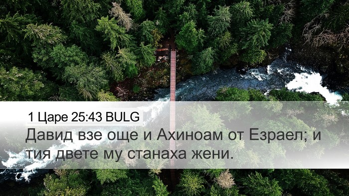 1 Царе 25:43 BULG Desktop Wallpaper - Давид взе още и Ахиноам от - Desktop Bible Verse Wallpaper