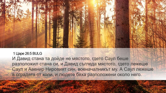 1 Царе 26:5 BULG Desktop Wallpaper - И Давид стана та дойде не - Desktop Bible Verse Wallpaper