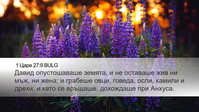 1 Царе 27:9 BULG Bible Verse Image
