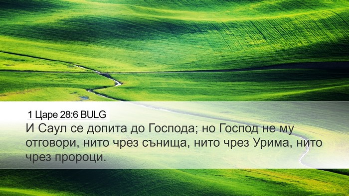 1 Царе 28:6 BULG Bible Verse Image