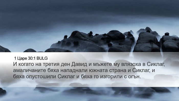 1 Царе 30:1 BULG Bible Verse Image