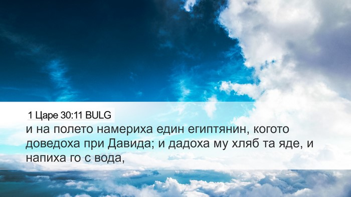 1 Царе 30:11 BULG Bible Verse Image