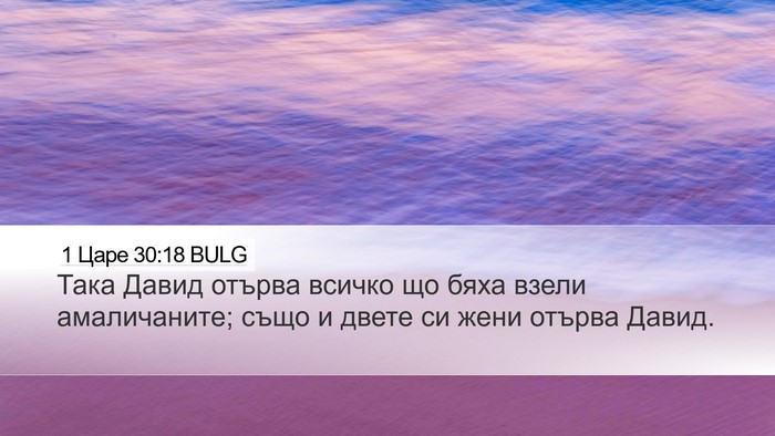 1 Царе 30:18 BULG Bible Verse Image