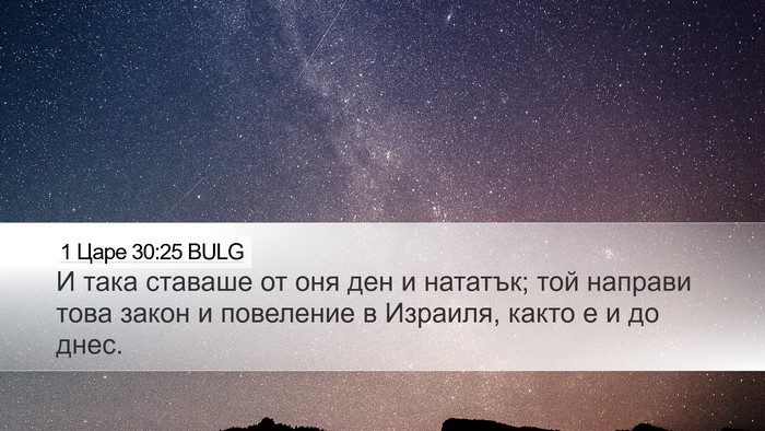 1 Царе 30:25 BULG Bible Verse Image