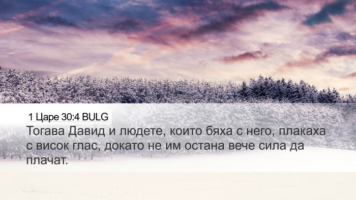 1 Царе 30:4 BULG Bible Verse Image
