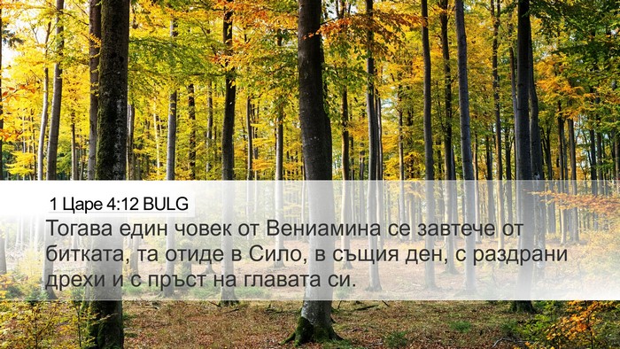 1 Царе 4:12 BULG Bible Verse Image
