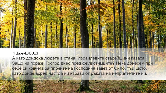 1 Царе 4:3 BULG Bible Verse Image