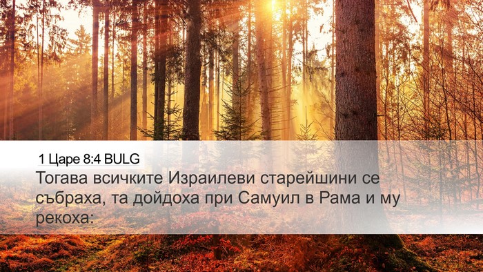 1 Царе 8:4 BULG Bible Verse Image