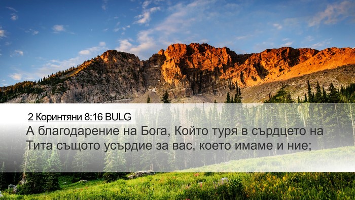 2 Коринтяни 8:16 BULG Bible Verse Image