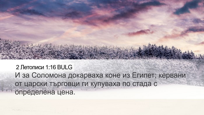 2 Летописи 1:16 BULG Bible Verse Image