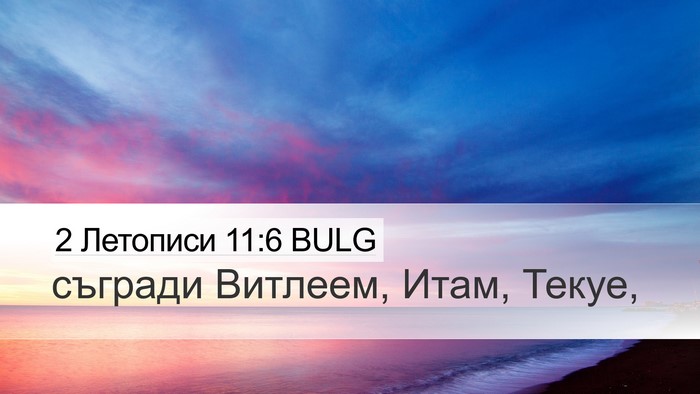 2 Летописи 11:6 BULG Bible Verse Image