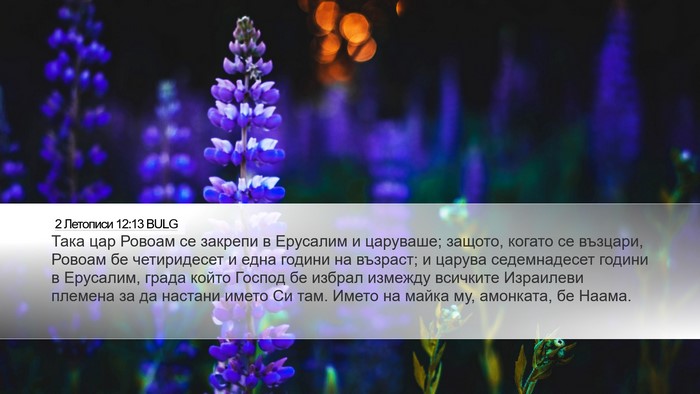 2 Летописи 12:13 BULG Bible Verse Image