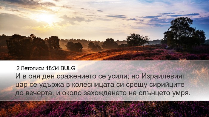 2 Летописи 18:34 BULG Desktop Wallpaper - И в оня ден сражението се - Desktop Bible Verse Wallpaper