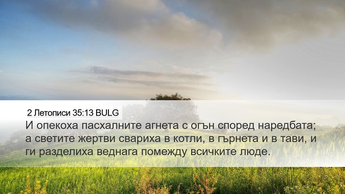 2 Летописи 35:13 BULG Bible Verse Image
