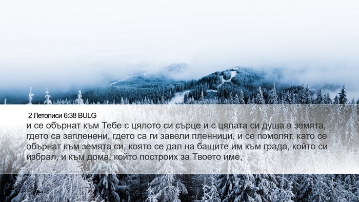 2 Летописи 6:38 BULG Desktop Wallpaper - и се обърнат към Тебе с - Desktop Bible Verse Wallpaper
