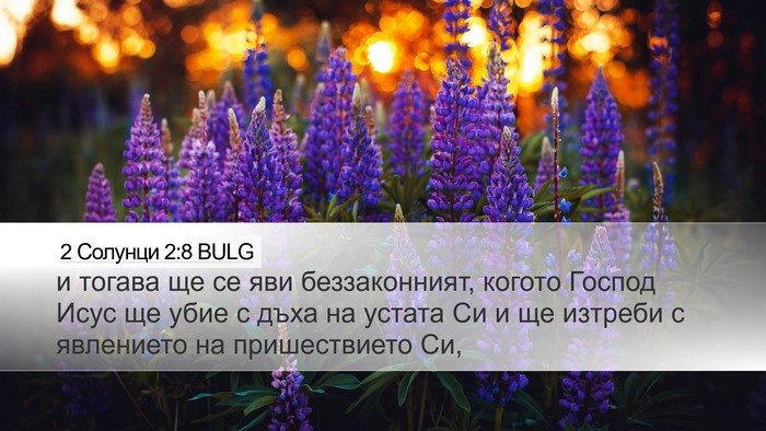 2 Солунци 2:8 BULG Bible Verse Image