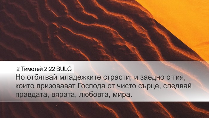 2 Тимотей 2:22 BULG Bible Verse Image