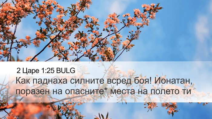 2 Царе 1:25 BULG Bible Verse Image