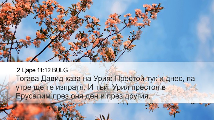 2 Царе 11:12 BULG Desktop Wallpaper - Тогава Давид каза на Урия: - Desktop Bible Verse Wallpaper